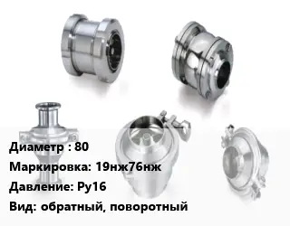 Клапан нержавеющий 80 19нж76нж Ру16 обратный, поворотный